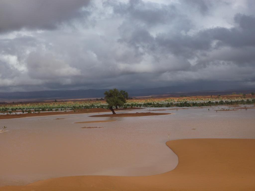 Atta Desert Camp El Gouera Εξωτερικό φωτογραφία